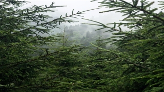 2002年是什么年是属于什么命(生辰八字算名)_重复