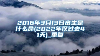 2016年3月13日出生是什么命(2022年仅过去41天)_重复