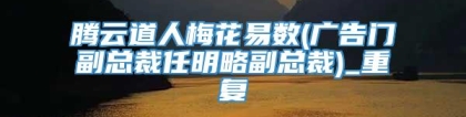 腾云道人梅花易数(广告门副总裁任明略副总裁)_重复