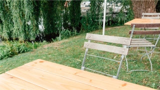 带草字头的名字(草字头小孩小名)