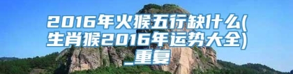 2016年火猴五行缺什么(生肖猴2016年运势大全)_重复