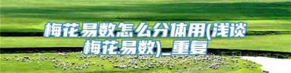 梅花易数怎么分体用(浅谈梅花易数)_重复
