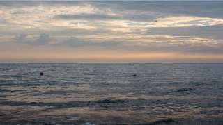 梦到被蛇咬伤(梦到被蛇咬伤了自己)