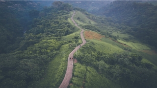 梦到被别人的狗咬到手有血痕(梦见被别人家的狗咬破了手流血)