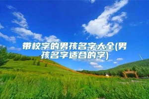 带校字的男孩名字大全(男孩名字适合的字)