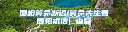 面相算命断语(算命先生看面相术语)_重复