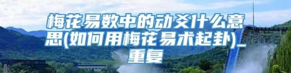 梅花易数中的动爻什么意思(如何用梅花易术起卦)_重复