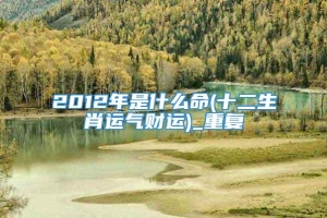 2012年是什么命(十二生肖运气财运)_重复