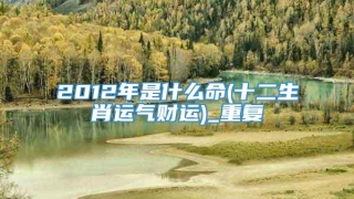 2012年是什么命(十二生肖运气财运)_重复