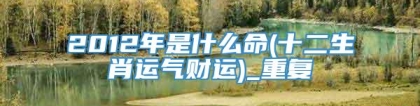 2012年是什么命(十二生肖运气财运)_重复