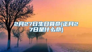 2月27日生日算命(正月27日是什么命)