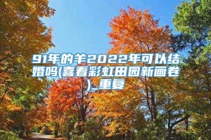 91年的羊2022年可以结婚吗(喜看彩虹田园新画卷)_重复