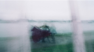 额头高的人聪明吗(小孩额头高聪明)