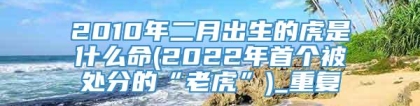 2010年二月出生的虎是什么命(2022年首个被处分的“老虎”)_重复