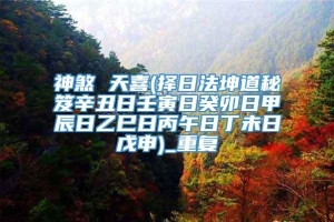 神煞 天喜(择日法坤道秘笈辛丑日壬寅日癸卯日甲辰日乙巳日丙午日丁未日戊申)_重复