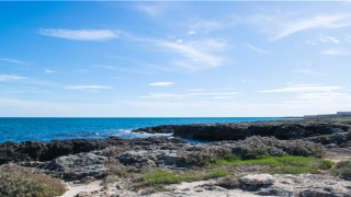 梦到被老虎追赶 一直逃跑(梦到被老虎追赶 一直逃跑最后吃了别人)