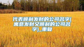 代表顺利发财的公司名字(寓意发财又顺利的公司名字)_重复
