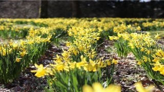 佛说经常被鬼压床的人(梦魇真的有鬼在压床吗)_重复