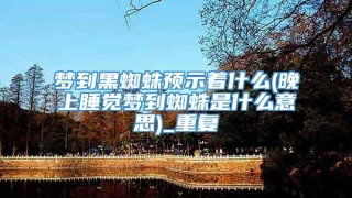 梦到黑蜘蛛预示着什么(晚上睡觉梦到蜘蛛是什么意思)_重复