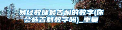 易经数理最吉利的数字(你会选吉利数字吗)_重复