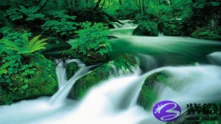 八字纯阴怎么看(八字纯阳纯阴的概率)