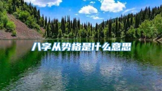 八字从势格是什么意思