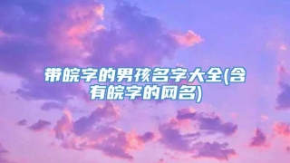 带皖字的男孩名字大全(含有皖字的网名)