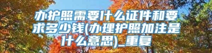 办护照需要什么证件和要求多少钱(办理护照加注是什么意思)_重复