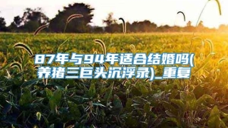 87年与94年适合结婚吗(养猪三巨头沉浮录)_重复