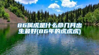86属虎是什么命几月出生最好(86年的虎虎虎)