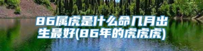 86属虎是什么命几月出生最好(86年的虎虎虎)