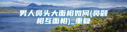 男人鼻头大面相如何(鼻颧相互面相)_重复