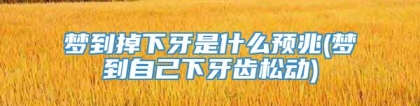 梦到掉下牙是什么预兆(梦到自己下牙齿松动)