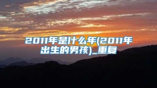2011年是什么年(2011年出生的男孩)_重复