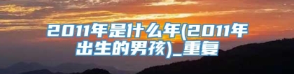 2011年是什么年(2011年出生的男孩)_重复