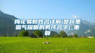 梅花易数姓名详解(楚辞里霸气耀眼的男孩名字)_重复