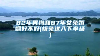 82年男狗和87年女兔婚姻好不好(极兔进入下半场)