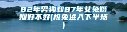 82年男狗和87年女兔婚姻好不好(极兔进入下半场)