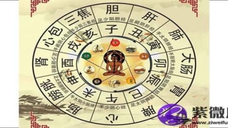 白蜡金是什么意思这个命好不好(白蜡金命的人命运如何)