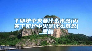 丁卯炉中火要什么木旺(丙寅丁卯炉中火是什么意思)_重复