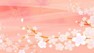 八字查桃花运表查(生辰八字算命看你什么时候走桃花运)