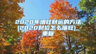 2020年增旺财运的方法(2020财位怎么催旺)_重复
