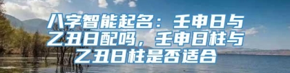 八字智能起名：壬申日与乙丑日配吗，壬申日柱与乙丑日柱是否适合