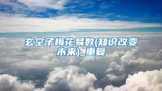 玄空子梅花易数(知识改变未来)_重复