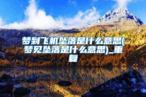 梦到飞机坠落是什么意思(梦见坠落是什么意思)_重复