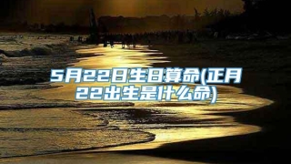 5月22日生日算命(正月22出生是什么命)