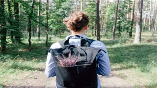 反复梦到掉牙齿(梦到牙齿不好代表什么)_重复