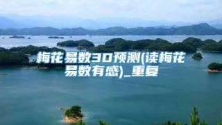 梅花易数3D预测(读梅花易数有感)_重复