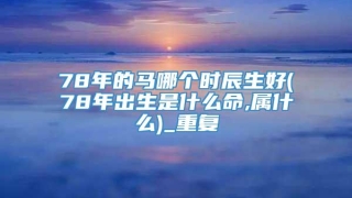 78年的马哪个时辰生好(78年出生是什么命,属什么)_重复