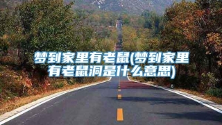 梦到家里有老鼠(梦到家里有老鼠洞是什么意思)